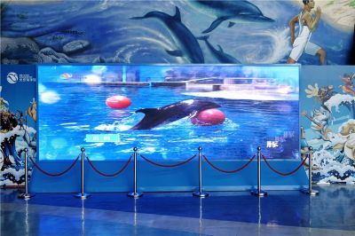 北京海洋館室內(nèi)P3高清全彩LED顯示屏（安裝地點：北京海洋館）