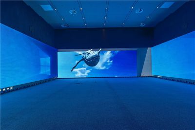 北京市平谷區博物館室內高清3D LED顯示屏項目（安裝地點：北京市平谷博物館）